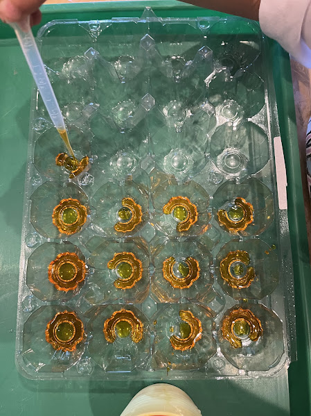 Science activity at Learning in Action — photo 04